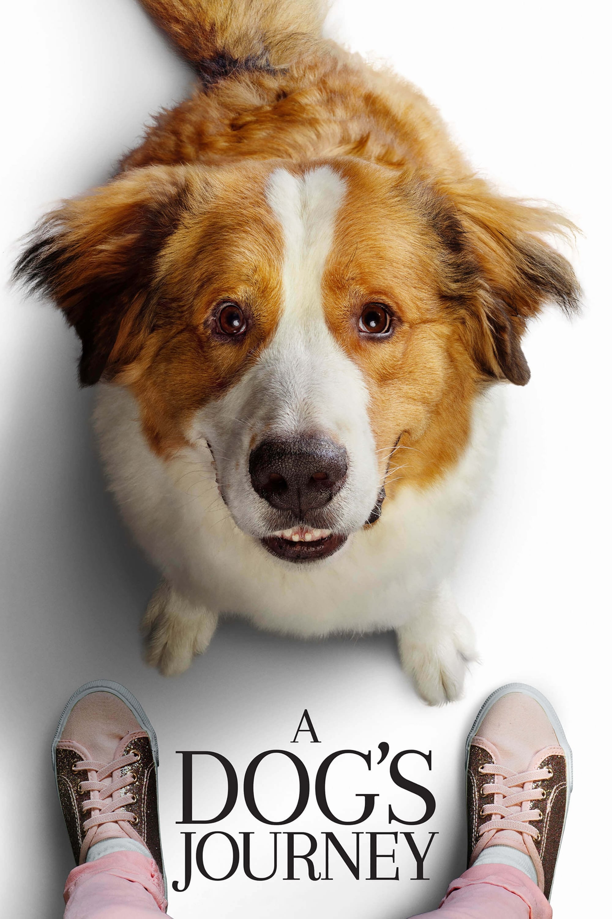 Watch A Dog's Journey online