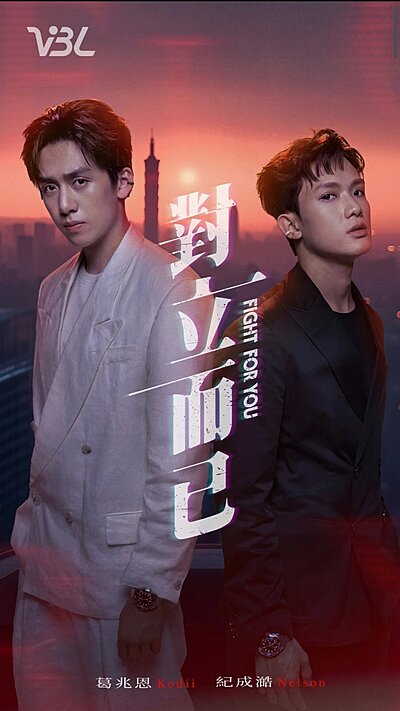 Watch Fight for You online