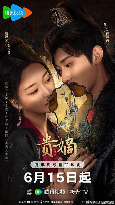 Watch The Fallen Lady Returns online