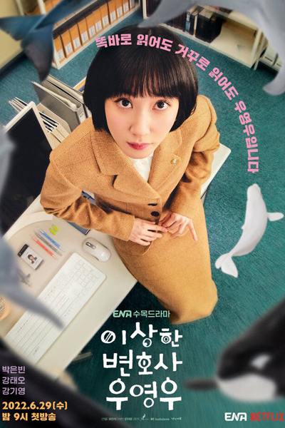 Watch Extraordinary Attorney Woo online