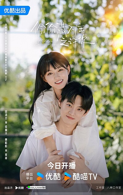 Watch Hidden Love for You online