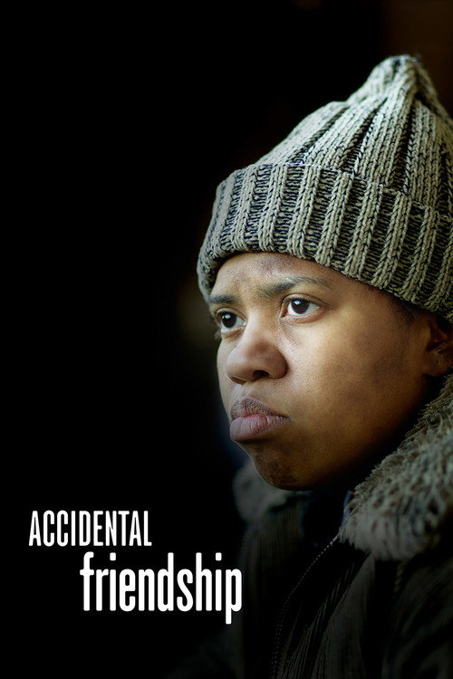 Watch Accidental Friendship online