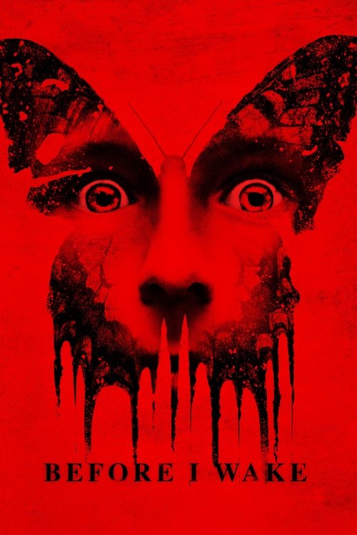 Watch Before I Wake online