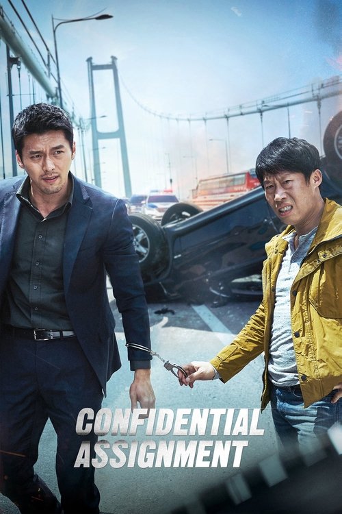 Watch Confidential Assignment online