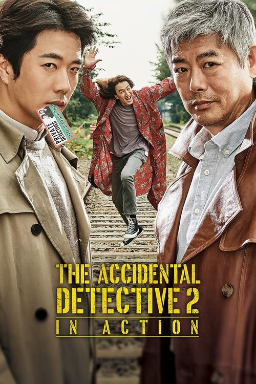 Watch The Accidental Detective 2: In Action online